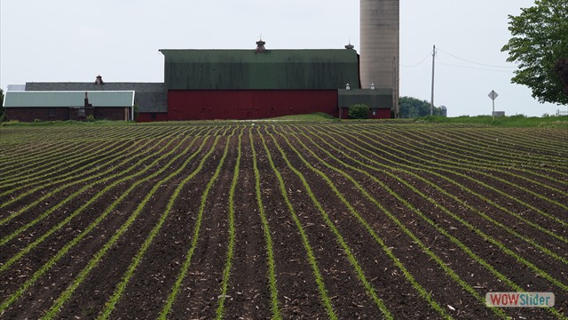 Somers Farm in Spring