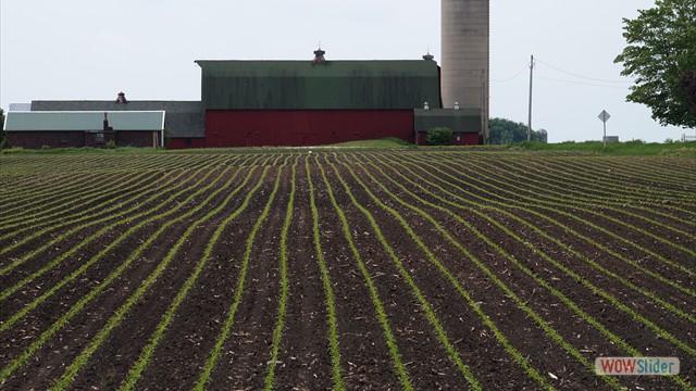 Somers Farm in Spring